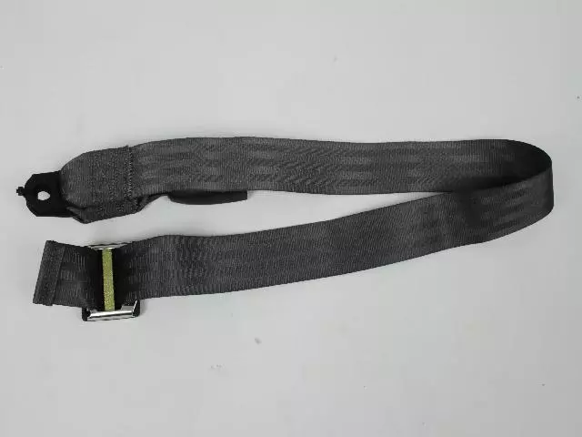 Buckle And Tip Seat Belt - Mopar (5EX61SAZ)