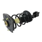 810319 - : Buick, Pontiac Suspension Strut and Coil Spring Assembly  - Rear Left for GSP Image