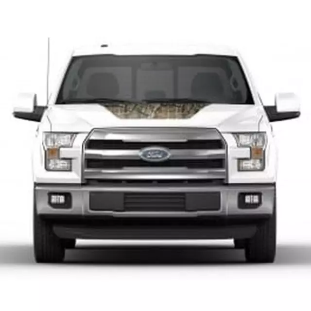 VFL3Z9920000E - : Original Wraps, Hood Cowl Stripe Kit, Mossy Oak Camo for Ford: F-150 Image