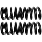 81004 - : Front Coil Spring Set for Moog Image