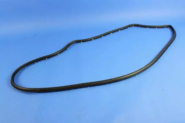Rear Door Opening Weatherstrip, Right - Mopar (68144966AD)