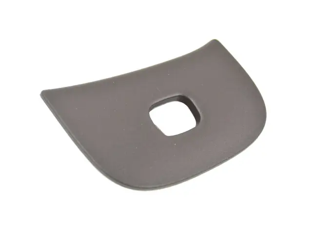 Switch Bezel - Mopar (1WN68LU5AD)