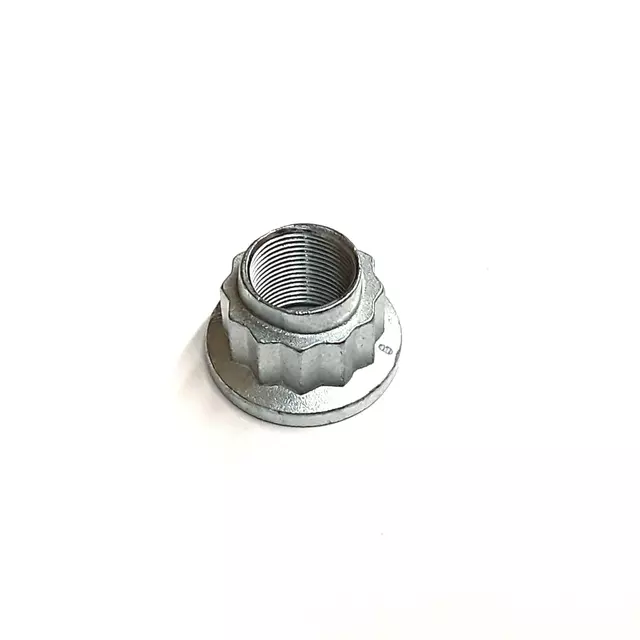Axle Nut - Volkswagen (WHT-006-779)
