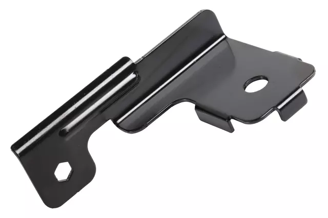 Engine Control Module Bracket - GM (95241316)