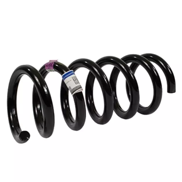 2016-2020 Ford Mustang - Coil Spring - Ford (FR3Z-5560-AJ)