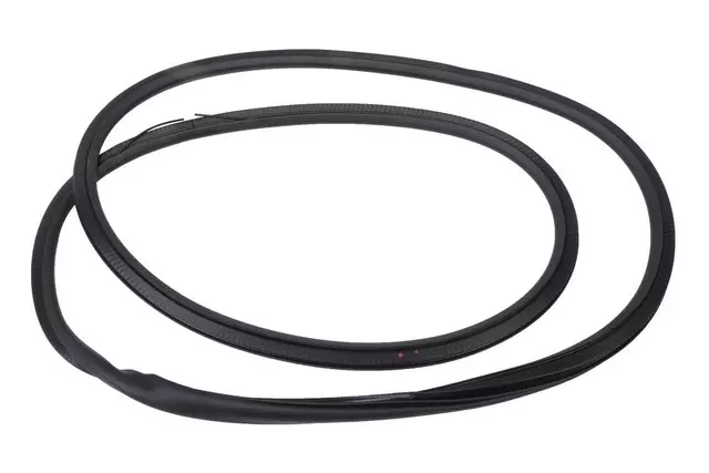 13463943 - : Part# 13463943 Rear Side Door Weatherstrip for Buick: Regal TourX Image