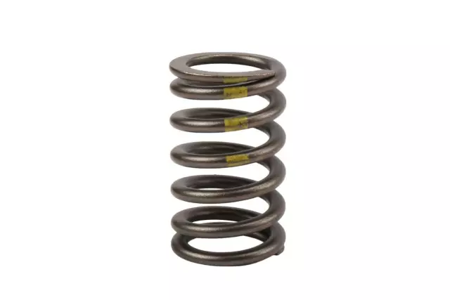 Engine Valve Spring - GM (90537032)