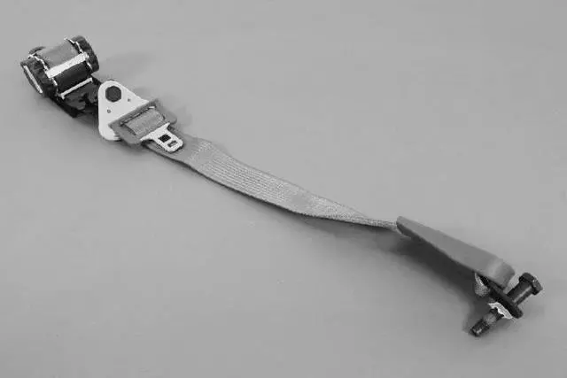 TS751D1AD - Interior Trim: Rear Seat Belt, Left for Mopar Image image