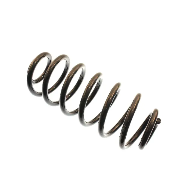 199021 - Suspension &amp; Steering: Coil Spring for Bilstein Image