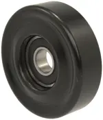 5008 - : Idler / Tensioner Pulley for Hayden Image