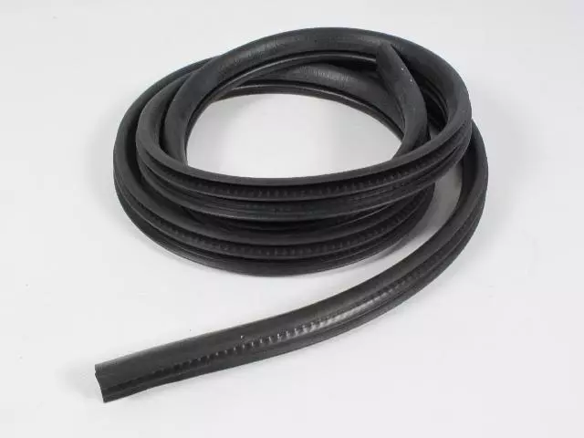 55135958AJ - : Rear Door Seal, Right for Mopar Image