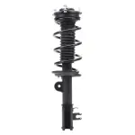 1BP00596AA - : Suspension Strut and Coil Spring Assembly for bproauto Image