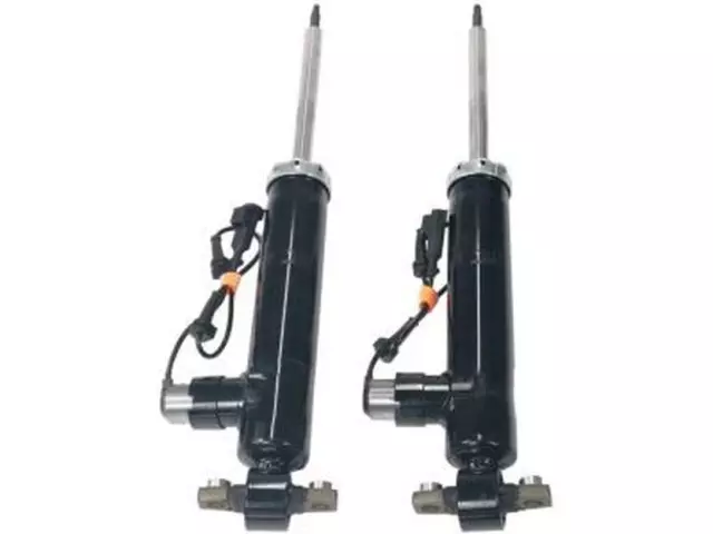 Shock Absorber - Ford (EG9Z-18125-L)