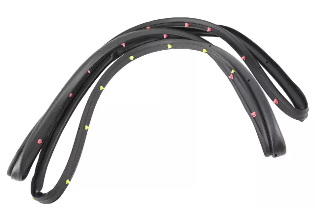 Door Weather-Strip - GM (84228138)