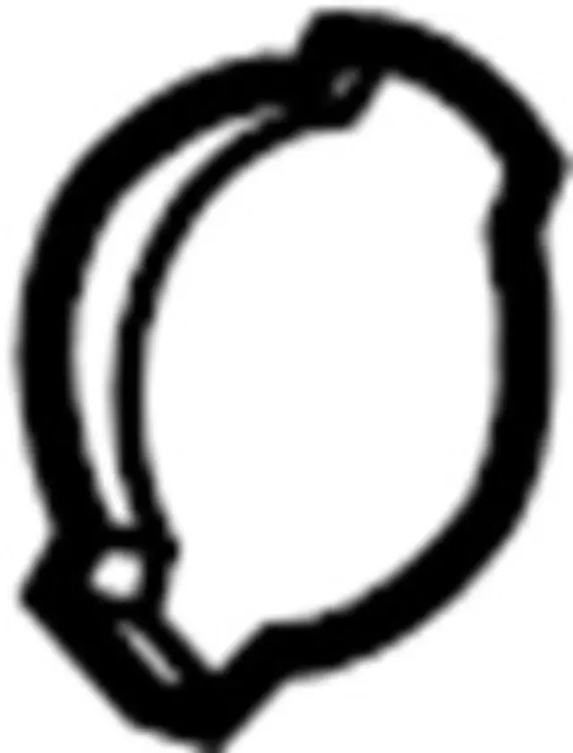 253397J100 - Body: Ring for Infiniti Image