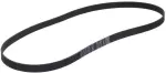 117201JA0A - : Serpentine Belt for Nissan Image