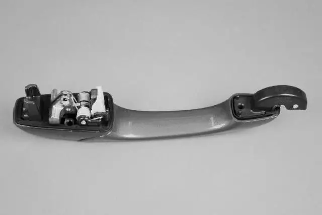 Sliding Door Exterior Handle - Mopar (1NA50TZZAD)