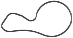 K32447 - : Engine Water Pump Gasket for Mahle Image