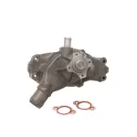 DP1115 - : WATER PUMP-AUTO/LIGHT TRUCK, DAYCO for DAYCO HYDRAULIC Image