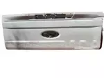 HC3Z9940700C - Body: Tail Gate for Ford: F-250 Super Duty, F-350 Super Duty, F-450 Super Duty Image