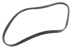 98096217 - : F Weatherstrip for GM Image