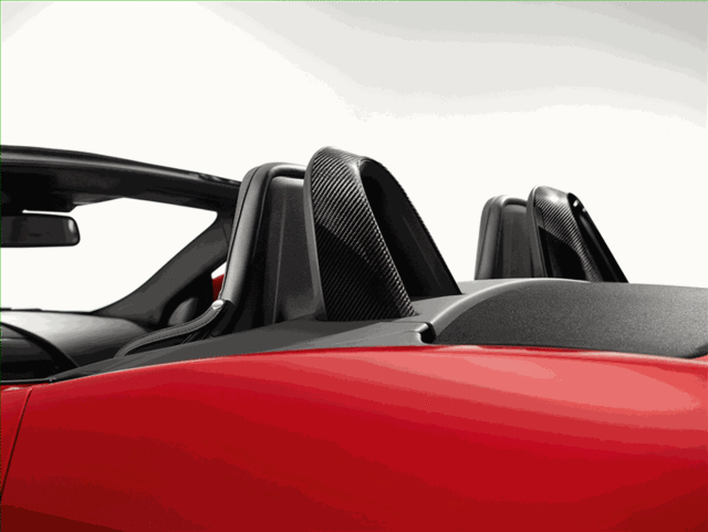 Roll Hoops, Silver Weave Carbon Fiber - Jaguar (T2R23378)