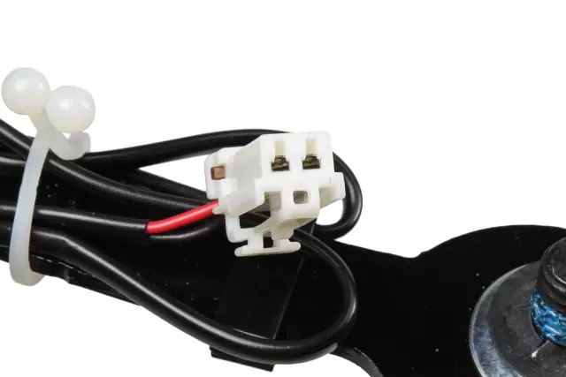 19205509 - Electrical: Buckle for Chevrolet: Caprice | Pontiac: G8 Image