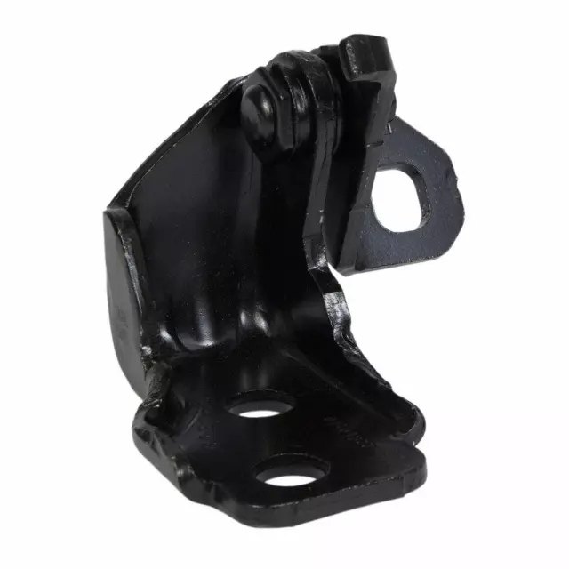 FL3Z1622810B - Body: Lower Hinge for Ford: Expedition, F-150, F-150 Lightning, F-250 Super Duty, F-350 Super Duty, F-450 Super Duty | Lincoln: Navigator Image