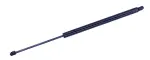 610454 - : Liftgate Lift Support for Tuff Support Image
