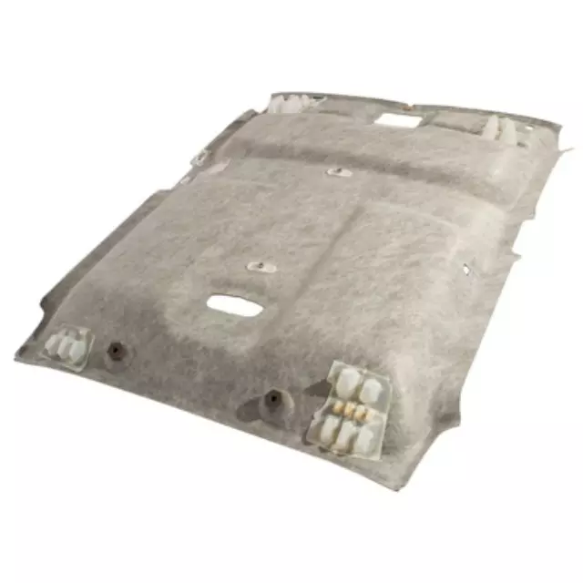 9L3Z1651944AA - Body: Headliner for Ford Image