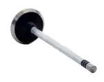 V4376 - : Engine Intake Valve for Enginetech Image