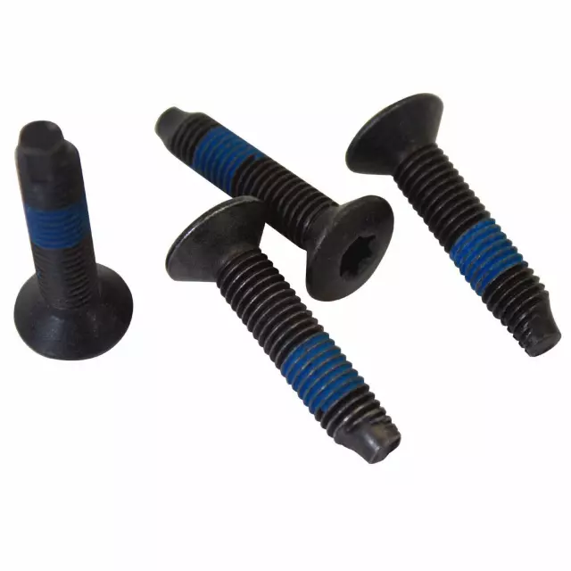 W710881S900 - Body: Striker Screw for Ford: E-150, E-250, E-350 Super Duty, Edge, Explorer, Explorer Sport Trac, F-150, F-250 Super Duty, F-350 Super Duty, F-450 Super Duty, Flex, Fusion, Ranger | Lincoln: MKT, MKX, MKZ, Zephyr | Mercury: Milan Image