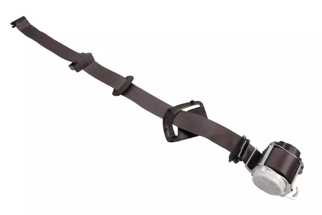 Outer Belt Assembly - GM (84512922)