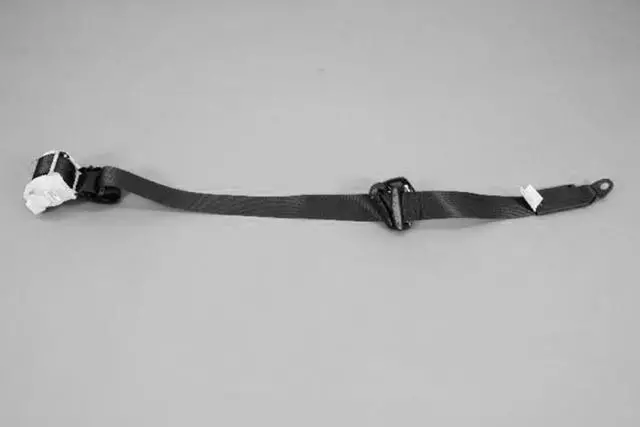 Seat Belt - Mopar (1RN00DX9AE)
