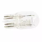 DR3Z13466B - : Stop Lamp Bulb for Ford: C-Max, EcoSport, Ranger Image