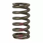 6R8Z6513A - : Valve Springs for Ford: F-150 Image