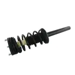 812312 - : Chrysler, Dodge Suspension Strut and Coil Spring Assembly  - Rear for GSP Image