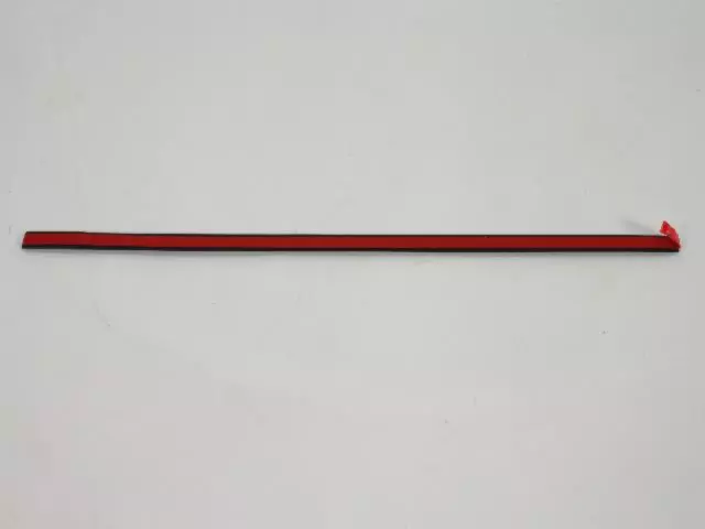 Rear Door Molding - Mopar (1DH74AXRAB)