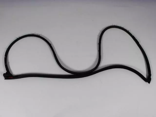 OEM NEW 11-20 Mopar 300 Passenger Sd Front Door Mounted Weatherstrip 68039974AH - Mopar (68039974AH)