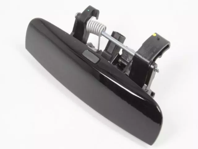 1MZ84DX8AM - Doors, Door Mirrors and Related Parts: Front Door Exterior Handle, Right for Dodge: Challenger, Charger Image
