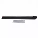 6W3Z5425557APTM - Body: Body Side Molding for Ford Image