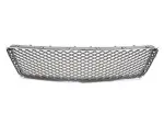22775357 - : Silver Front Lower Grille for GM Image