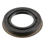 710996 - Driveline and Axles: National 710996 Differential Pinion Seal for National Bearings Image