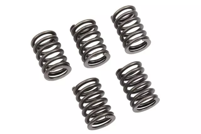 96353128 - : Engine Valve Spring for Chevrolet: Aveo, Aveo5 Image