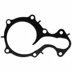 CM5Z8507A - : Water Pump Gasket for Ford: EcoSport, Fiesta, Focus Image