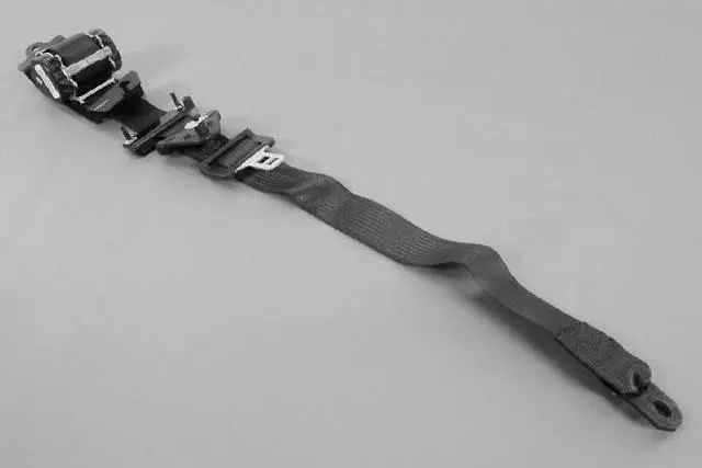 TS761D1AE - Electrical: Outer Belt for Chrysler: Pacifica Image