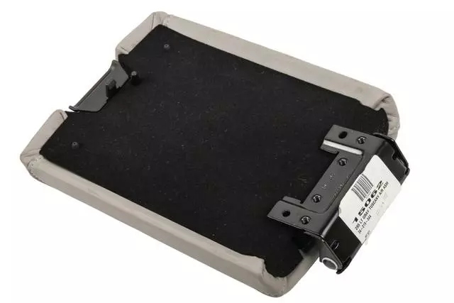 10381490 - Body: Compartment Door for Cadillac: STS Image