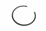 24295307 - : F (S)Ring for GM Image