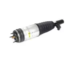 68459082AE - : Air Suspension Spring And Shock Assembly, Right for Mopar Image