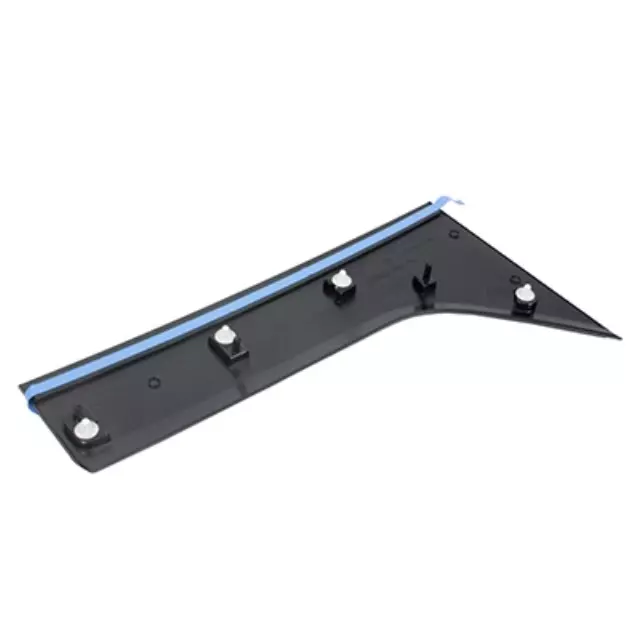 Rear Molding - Ford (DT1Z-1720938-DA)